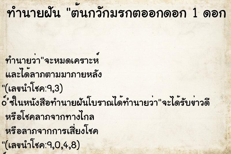 ทำนายฝันทำนายฝันต้นกวักมรกตออกดอก1ดอกคืน